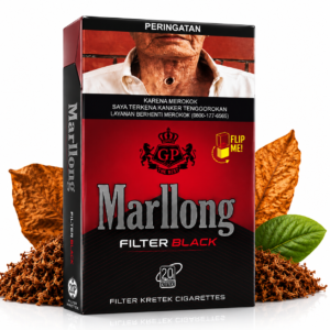 Marllong 2